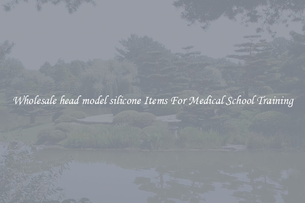 Wholesale head model silicone Items For Medical School Training