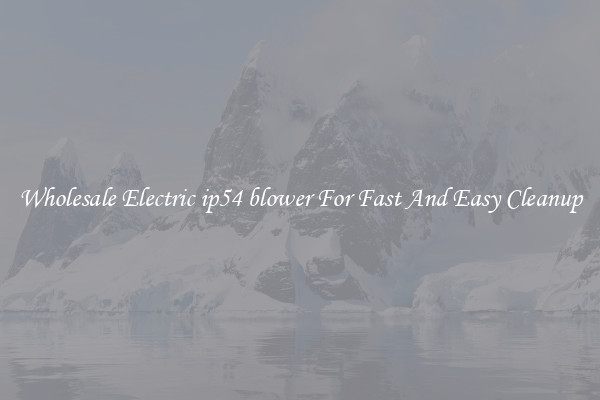 Wholesale Electric ip54 blower For Fast And Easy Cleanup