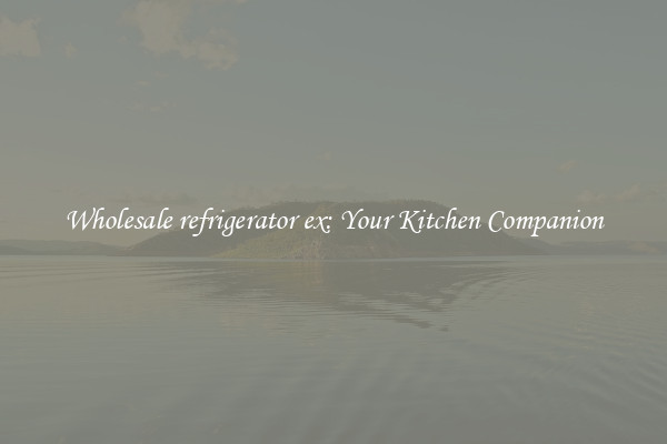 Wholesale refrigerator ex: Your Kitchen Companion