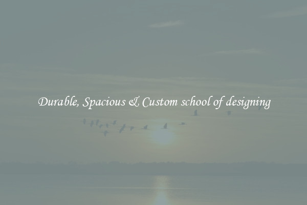 Durable, Spacious & Custom school of designing