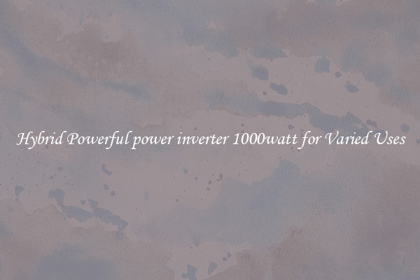 Hybrid Powerful power inverter 1000watt for Varied Uses