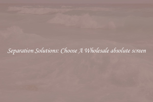 Separation Solutions: Choose A Wholesale absolute screen