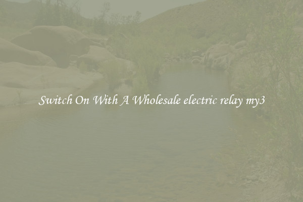 Switch On With A Wholesale electric relay my3