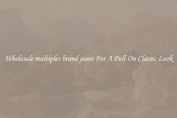 Wholesale multiples brand jeans For A Pull-On Classic Look