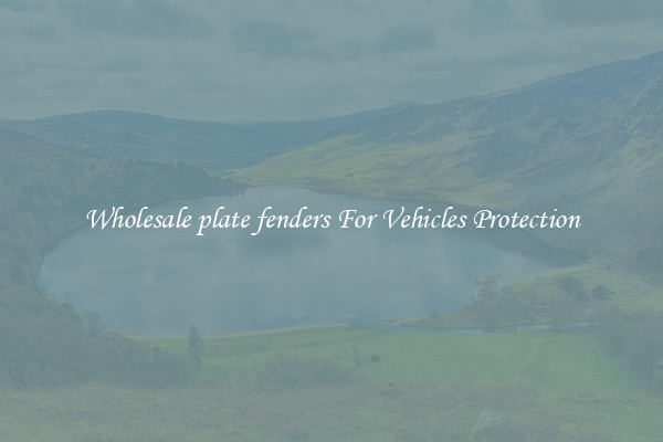 Wholesale plate fenders For Vehicles Protection