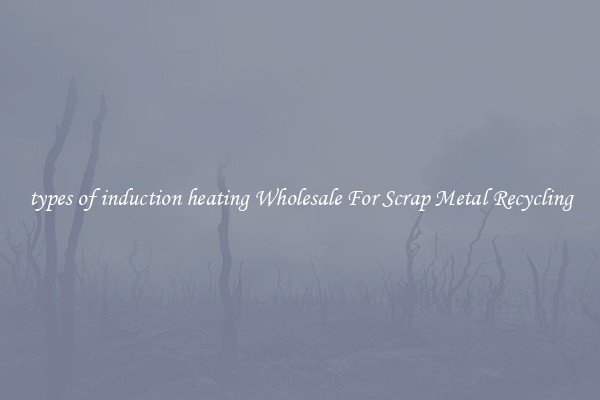 types of induction heating Wholesale For Scrap Metal Recycling