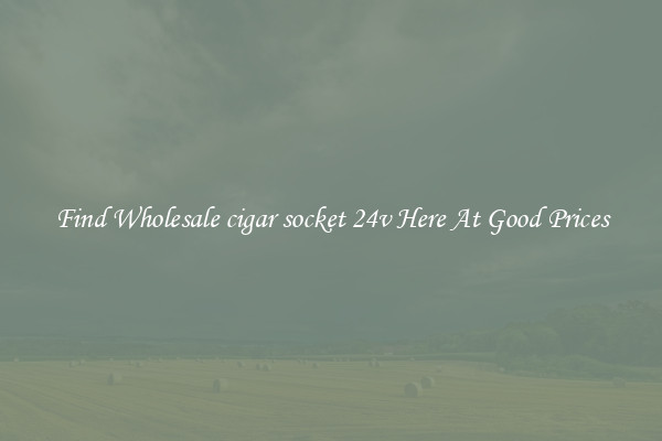 Find Wholesale cigar socket 24v Here At Good Prices