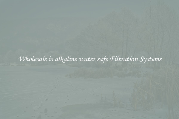 Wholesale is alkaline water safe Filtration Systems