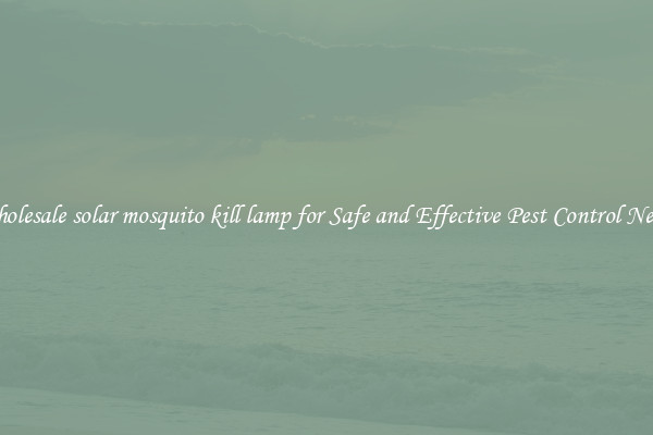 Wholesale solar mosquito kill lamp for Safe and Effective Pest Control Needs