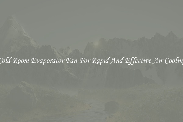 Cold Room Evaporator Fan For Rapid And Effective Air Cooling