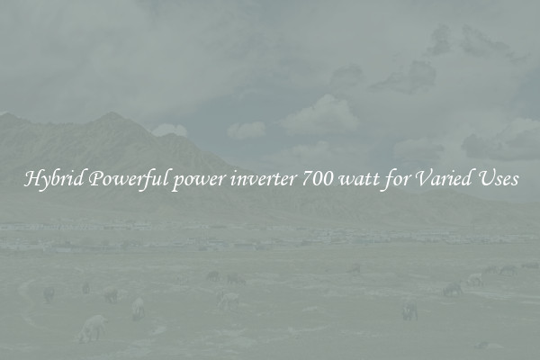 Hybrid Powerful power inverter 700 watt for Varied Uses